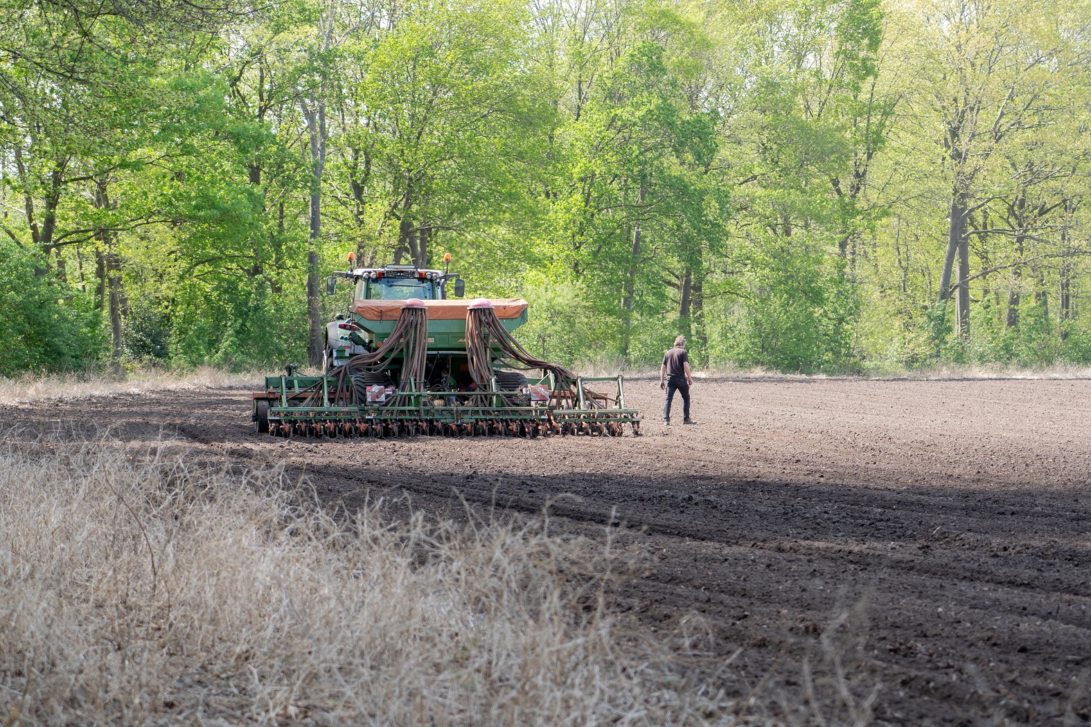 Rondom de uien heeft Van Leeuwen-Boomkamp zomertarwe gezaaid. Daardoor en door middelen i.v.m. spuitboombreedte, verdween de variatie in bodemherbicidedosering nagenoeg.