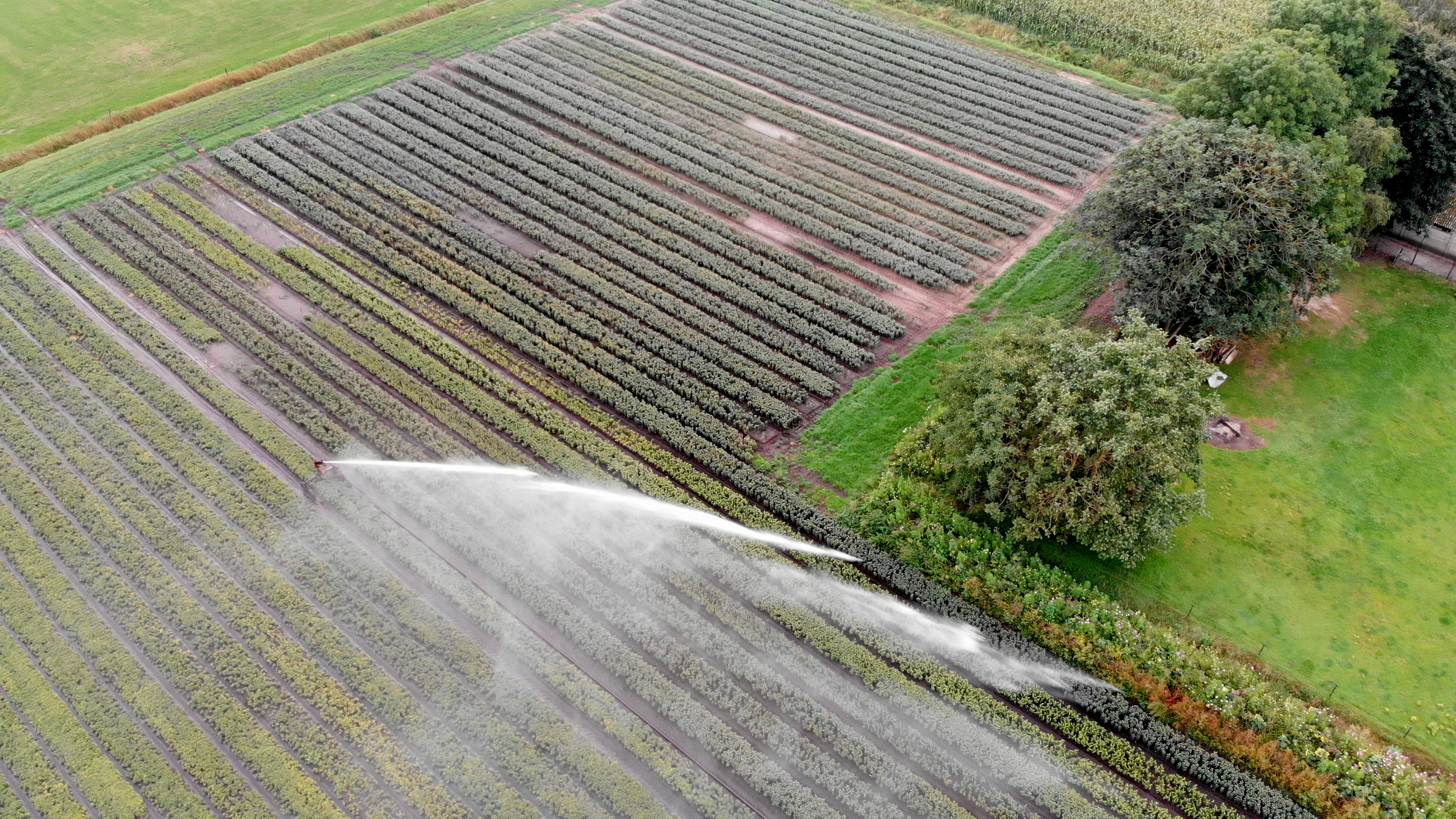 Via sectorcontrole kan het Raindancer systeem de beregening automatisch aanpassen aan geerende en vreemdvormige percelen. Sjaak Huetink denkt de meeste tijd en water te kunnen besparen op geren, zo’n 10 tot 20%.