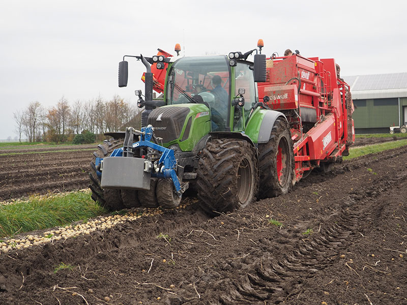 oogsten aardappelen