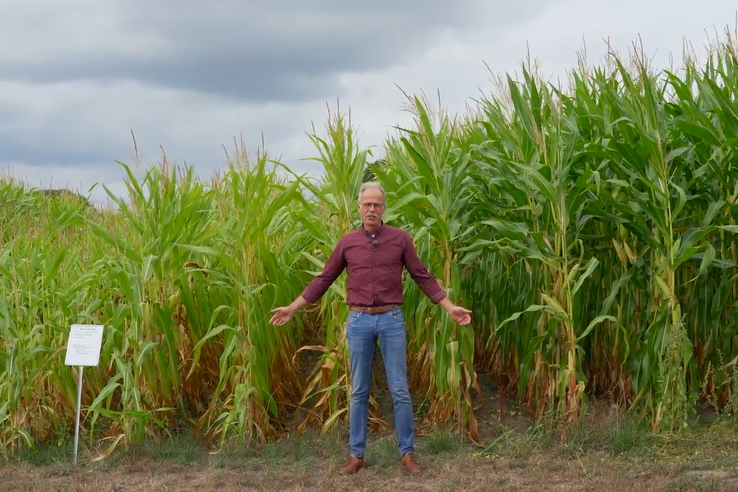 Onderzoek op De Marke
